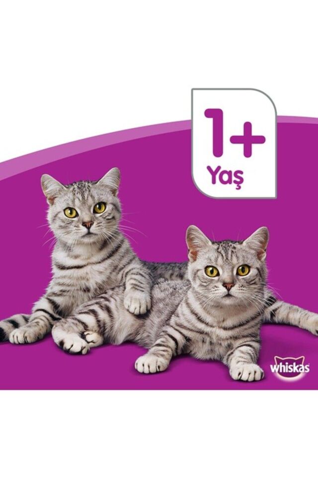 Whiska Biftekli Kuru Mama 300 gr X 7 Adet
