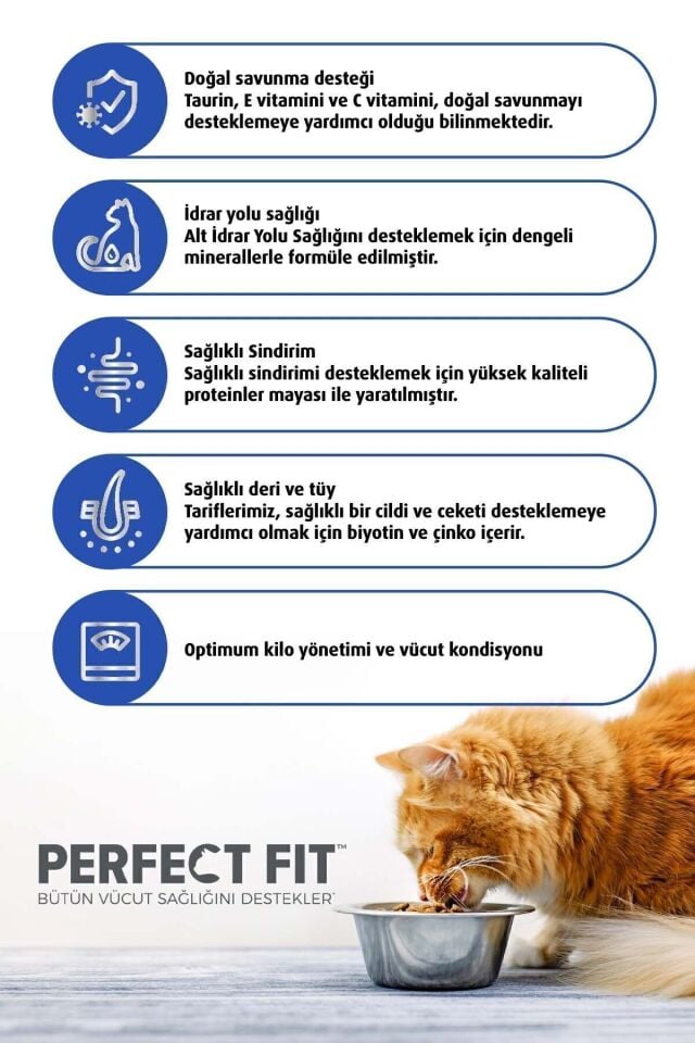 Perfect Fit Yetişkin Tavuklu Kedi Kuru Mama 750g