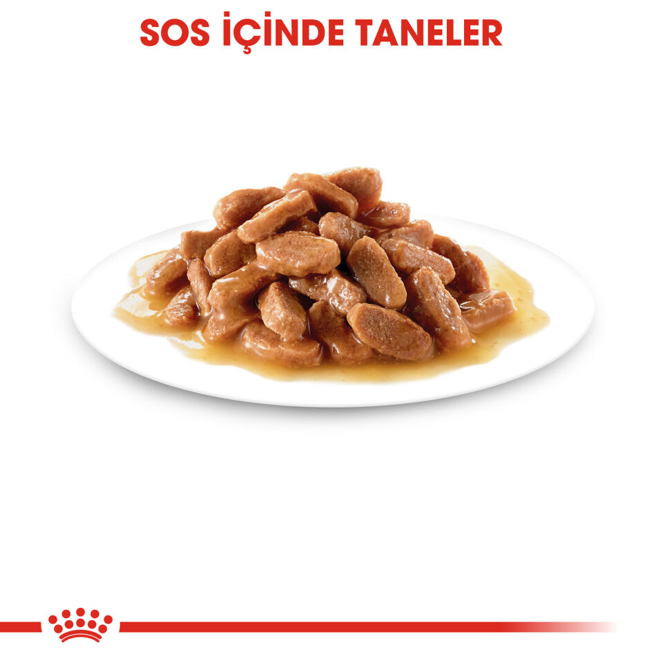 Royal Canin Gravy Yavru Kedi Konservesi 85 gr x12 ad