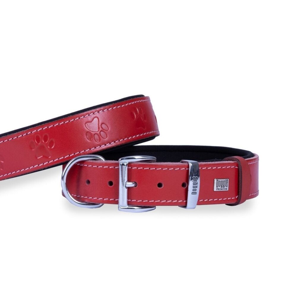 Doggie Yumuşak Dokulu Pati Desenli Köpek Boyun Tasması Kırmızı SBT-3536 L