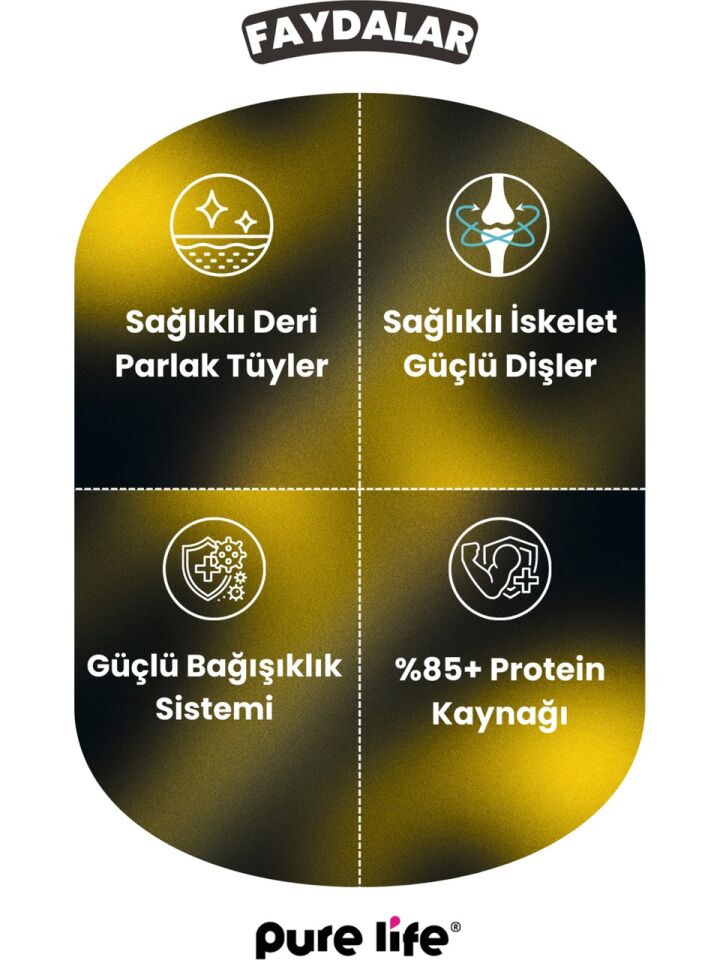 PureLife Pure Lıfe Yavru Kedi Kuzu Etli Yaş Püre Mama 400 gr x12 adet