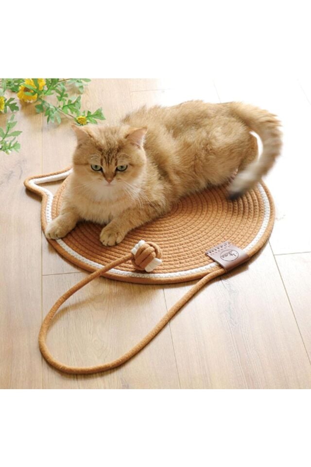 EMSE Kedi Tırmalama Halısı Kedi Paspas Kedi Oyun