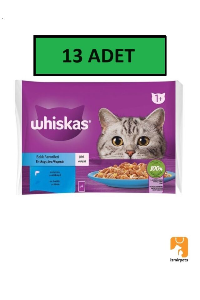 Pouch Somonlu ve Ton Balıklı Yetişkin Kedi Konservesi 85GR (4'lü) 13 Adet