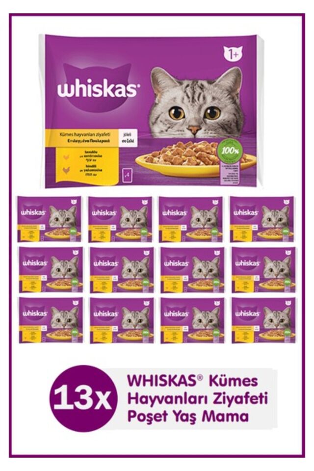 Whiskas Tavuklu ve Hindili Yetişkin Kedi Yaş Maması 4X85 gr (13 Paket,52 Adet Tekli)