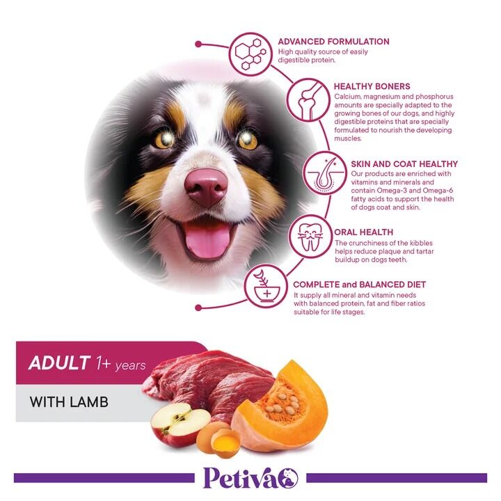 Petiva Yetişkin Köpek Kuzu Etli 3 Kg