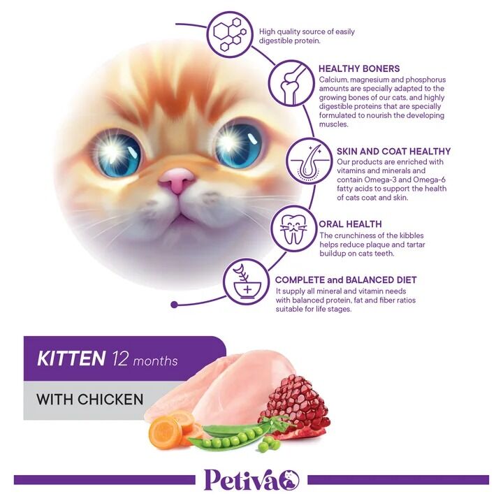 Petiva Tavuk Etli Yavru Kedi Maması 3Kg