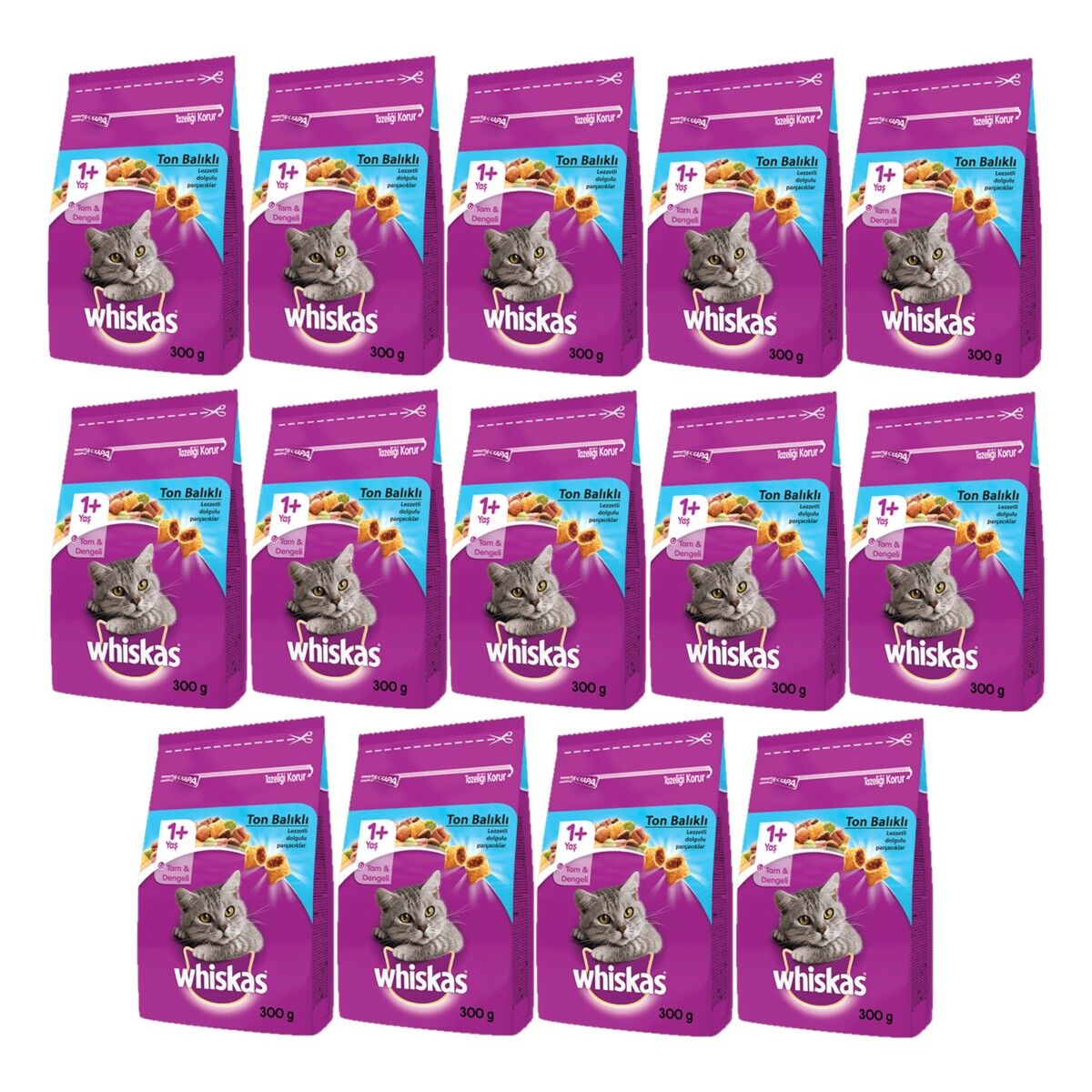 Whiskas Whıskas® Ton Balıklı Kuru Kedi Maması 1+ Yaş 300 Gram (14 Adet)